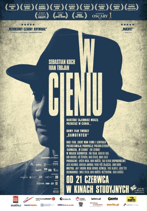 w cieniu