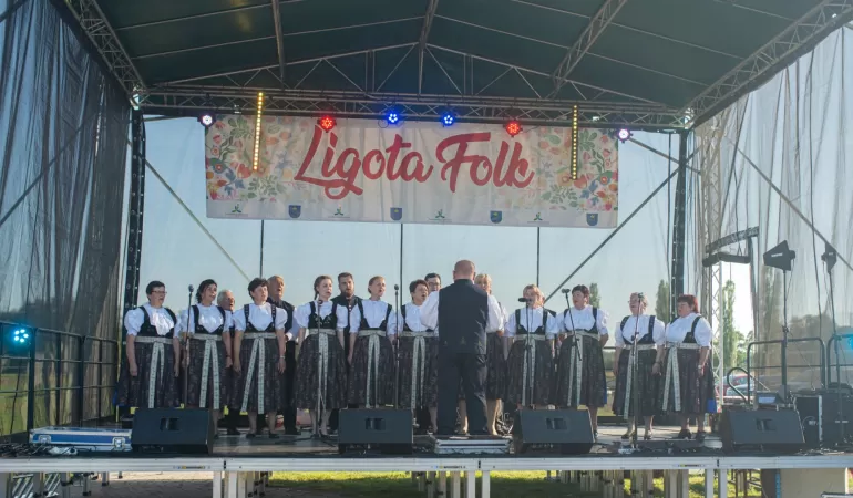 Chór Mieszany LUTNIA podczas występu