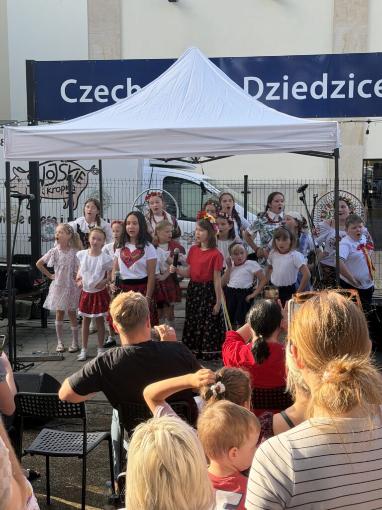 Zdjęcie z galerii „Sobótka w Ogródku”.