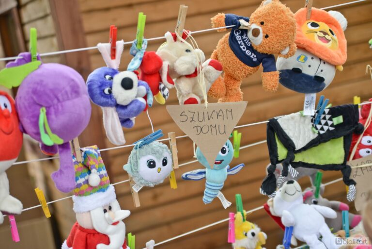 Zdjęcie z galerii „Święto dla dzieci nożyczki w ruchu 28.08.2023”.