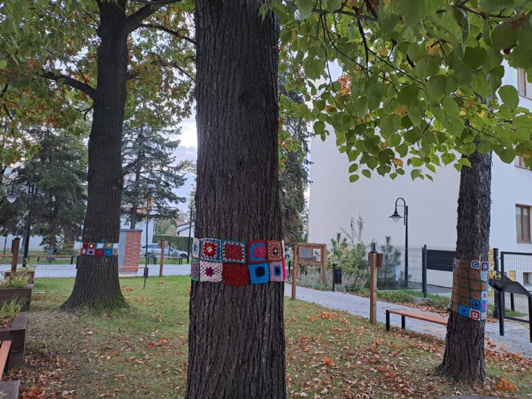 Zdjęcie z galerii „Ubieramy drzewa 16.10.2023”.